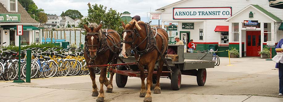 Mackinac Island horses pulling a transport wagon.