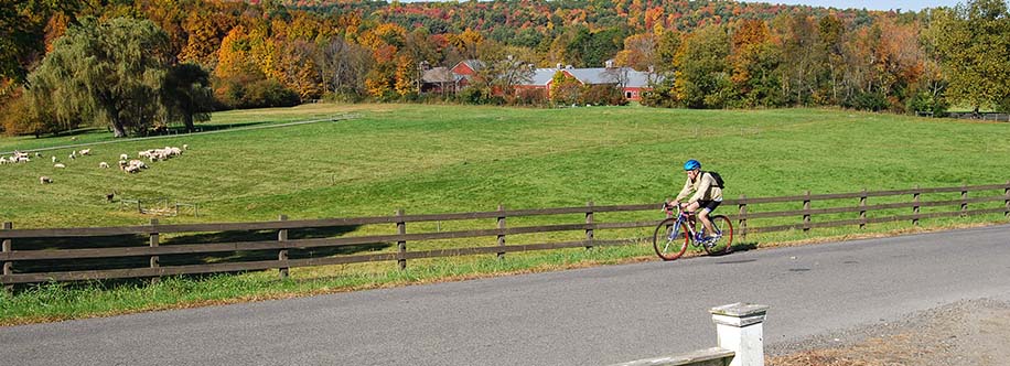 bike rider on country road in Old Chatham New York.