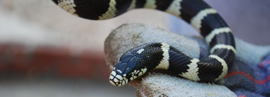 Sacramento California