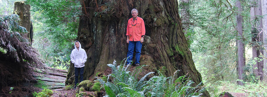 Prairie Creek Redwoods State Park North Coast, California